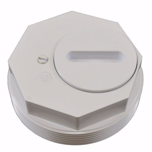 Picture of 4" Drainable Cleanout Test Plug