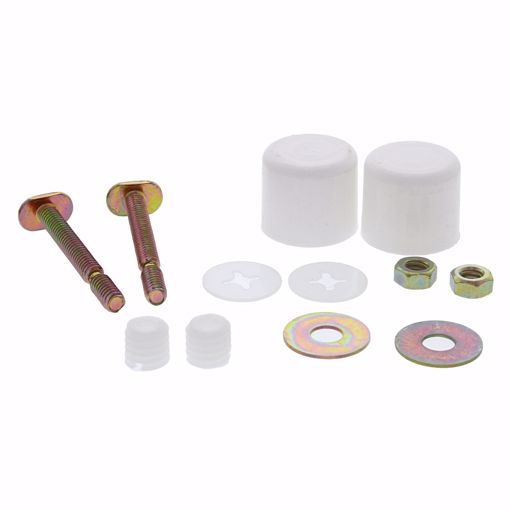 Picture of White Toilet Bolt Caps with 1/4" x 2-1/4" Brass Break-Off Bolts