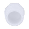 Picture of 3/4" Sch. 40 PVC Plug, MPT