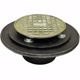 Picture of 2" FIP Shower/Floor Drain with 6-1/2" Pan and 4" Polished Brass Cast Round Strainer