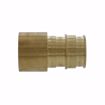 Picture of 1-1/4” F1960 Brass PEX Female Sweat Adapter, Bag of 8
