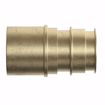 Picture of 1-1/4” F1960 Brass PEX Male Sweat Adapter, Bag of 8