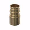 Picture of 1-1/4” F1960 Brass PEX Male Sweat Adapter, Bag of 8