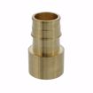 Picture of 1-1/2” F1960 Brass PEX Female Sweat Adapter, Bag of 12