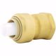 Picture of 1/2" x 1/2" FPT PlumBite® Push On Adapter, Bag of 1