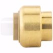 Picture of 1/2" PlumBite® Push On Cap, Bag of 1