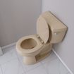 Picture of Fawn Beige Deluxe Molded Wood Toilet Seat, Closed Front with Cover, Round