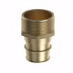 Picture of 1-1/2” F1960 x MIP Brass PEX Adapter, Bag of 6