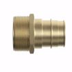 Picture of 2” F1960 x MIP Brass PEX Adapter, Bag of 6