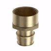 Picture of 1-1/2” F1960 x FIP Brass PEX Adapter, Bag of 6