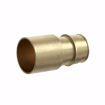 Picture of 1/2" F1960 Female Sweat Brass PEX Adapter, Bag of 25