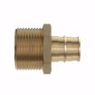 Picture of 1/2" F1960 x 3/4" MIP Brass PEX Adapter, Bag of 25