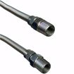 Picture of 3/8" OD (1/4" ID) X 12" Long, 1/2" Male Pipe Thread X 1/2" Male Pipe Thread, Uncoated Corrugated Stainless Steel Gas Connector