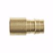 Picture of 3/4" F1960 Female Sweat Brass PEX Adapter, Bag of 25