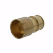 Picture of 1-1/4” F1960 Female Sweat Brass PEX Adapter, Bag of 8