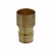 Picture of 1-1/4” F1960 Female Sweat Brass PEX Adapter, Bag of 8