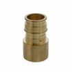 Picture of 1-1/4” F1960 Female Sweat Brass PEX Adapter, Bag of 8