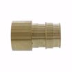 Picture of 2” F1960 Female Sweat Brass PEX Adapter, Bag of 6