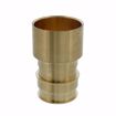 Picture of 2” F1960 Female Sweat Brass PEX Adapter, Bag of 6
