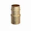 Picture of 3/4" F1960 Male Sweat Brass PEX Adapter, Bag of 25
