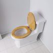 Picture of Mahogany Designer Wood Toilet Seat with Piano Finish, Closed Front with Cover, Chrome Hinges, Elongated