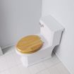 Picture of Mahogany Designer Wood Toilet Seat with Piano Finish, Closed Front with Cover, Chrome Hinges, Elongated