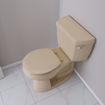 Picture of Fawn Beige Deluxe Molded Wood Toilet Seat, Closed Front with Cover, Round