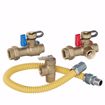 Picture of 3/4" SWT Tankless Water Heater Valve Service Kit with Pressure Relief Valve and Gas Connector