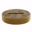 Picture of 3" Brass Slotted Plug with 5/16" Tapped Hole