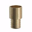 Picture of 1-1/4" F1807 Brass PEX Male Sweat Adapter, Bag of 5