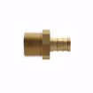 Picture of 1-1/4" F1807 x MIP Brass PEX Adapter, Bag of 5