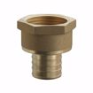 Picture of 1-1/4" F1807 x FIP Brass PEX Adapter, Bag of 5