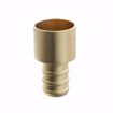 Picture of 1-1/2" F1807 Brass PEX Female Sweat Adapter, Bag of 5