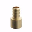 Picture of 1-1/2" F1807 Brass PEX Female Sweat Adapter, Bag of 5
