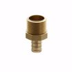 Picture of 1-1/2" F1807 x MIP Brass PEX Adapter, Bag of 5