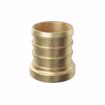 Picture of 1-1/2" F1807 Brass PEX Plug, Bag of 10