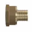 Picture of 2" F1807 x FIP Brass PEX Adapter, Bag of 1