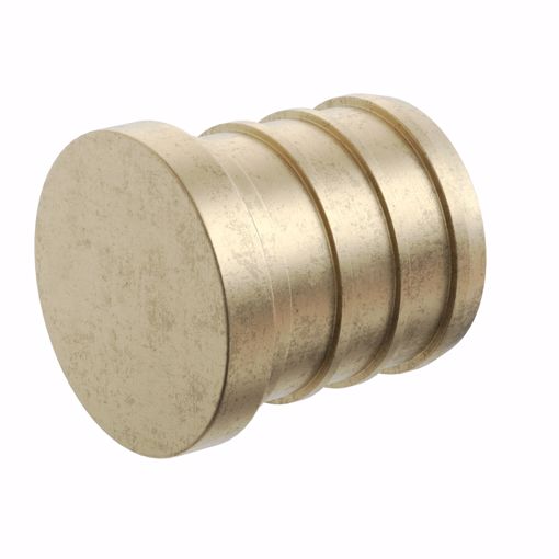 Picture of 2" F1807 Brass PEX Plug, Bag of 1