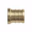 Picture of 2" F1807 Brass PEX Plug, Bag of 1