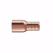 Picture of 1/2" F1807 Copper PEX Male Sweat Adapter, Bag of 100