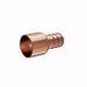 Picture of 1/2" F1807 Copper PEX Female Sweat Adapter, Bag of 90