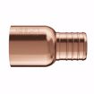 Picture of 1" F1807 Copper PEX Female Sweat Adapter, Bag of 30